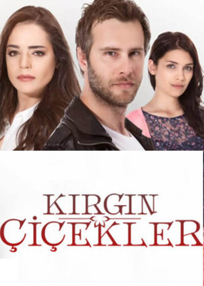 kirgin cicekler