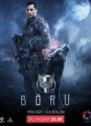 boru